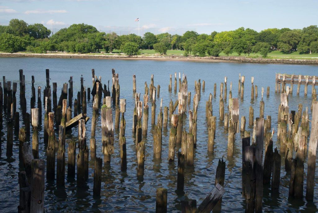 Old dock pilings in the Harlem River. Seem from the east side of Manhattan looking toward Randall's Island.